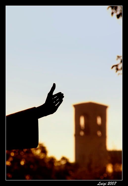 IPB Immagine