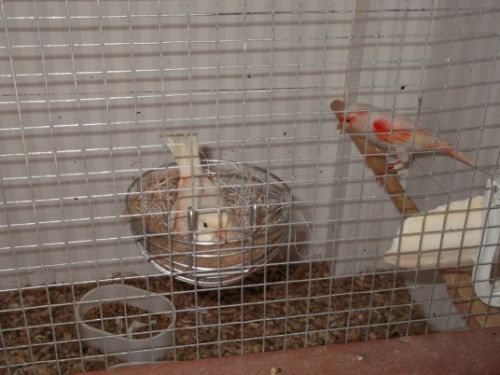 a5deef88-ca68-4c88-947b-34efd5479985_zps