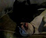 th_P3060143_zps997f70d7.jpg
