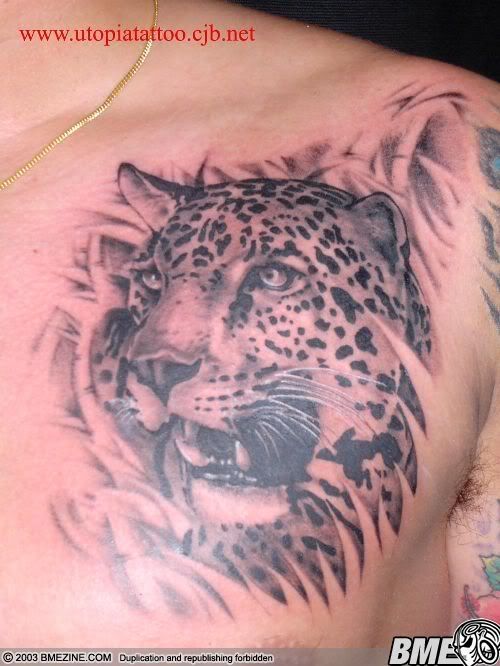 If you are interested for a tattoo Tiger or other it is a good idea to 