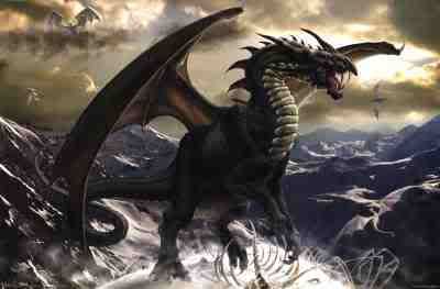 dragon