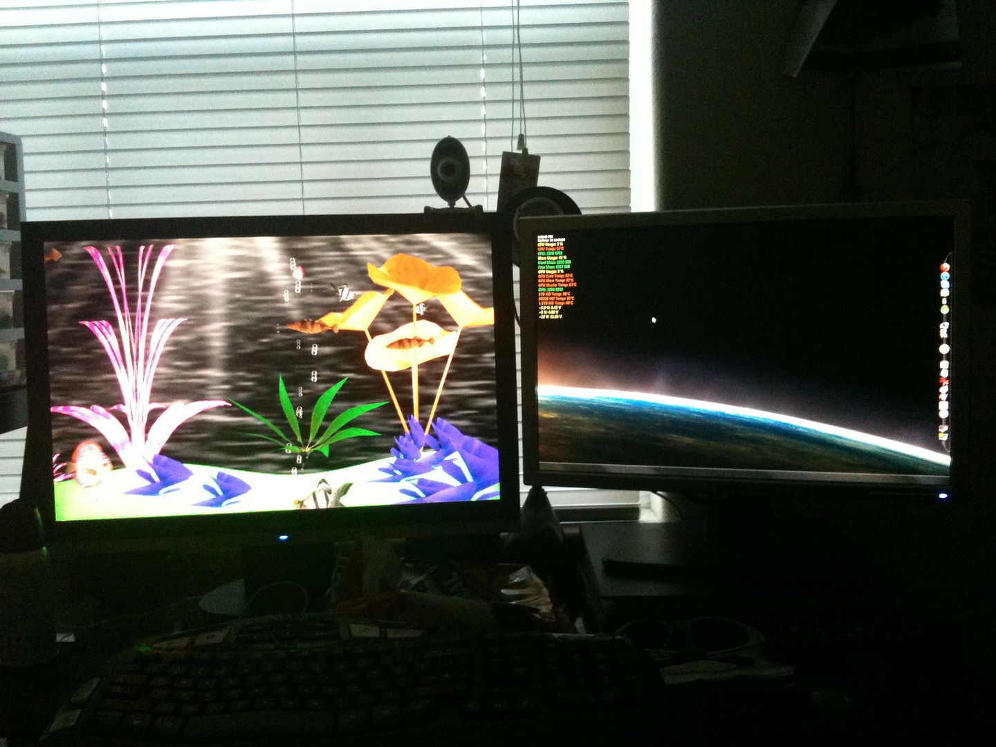 dual monitor salt water fish tank screen saver? - Aquarium Forum