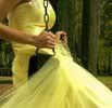 a7b8e2d2.jpg yellow dress image by iheartcher