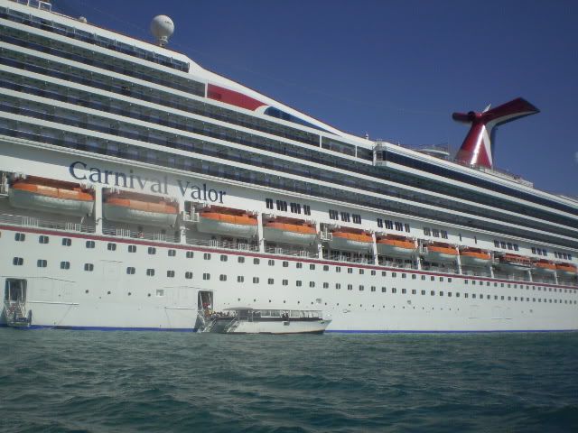 cruise356.jpg