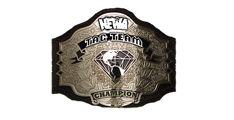 NWA World Tag Team Championships