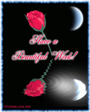 BeautifulWeekReflectingRose.gif Beautiful Week Reflecting Rose image by Nilebluejazz