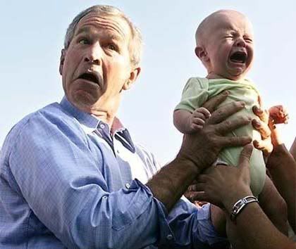bush-baby.jpg