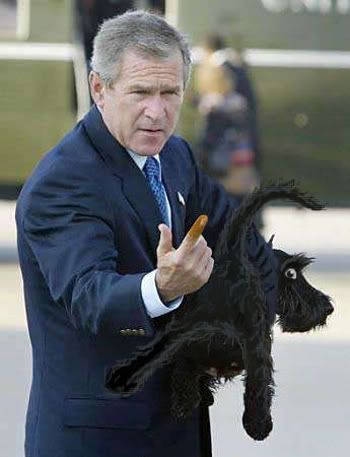bush-finger.jpg