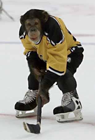 icehockeymonkey7up.jpg