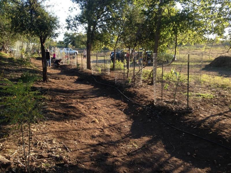 Finished berm-swale