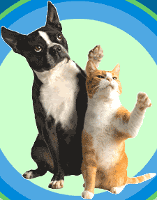 cat and dog waving