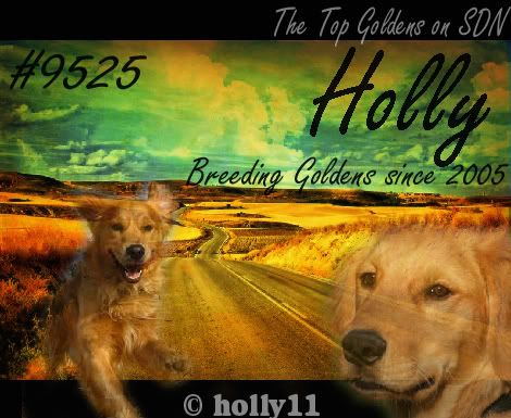 HollyNewfixed.jpg . picture by holly111094