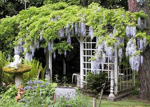 The Secret Garden