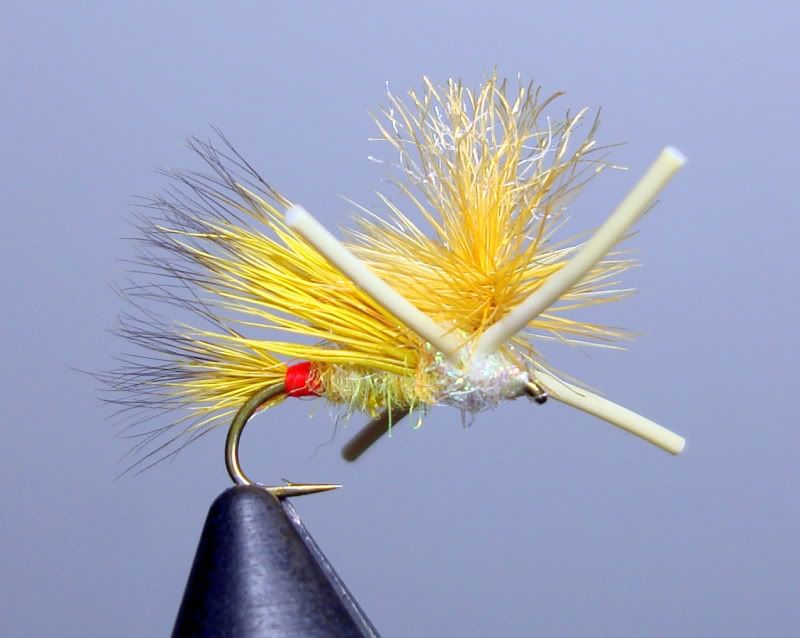 Week 64 This Week S Fly Is A Madam X South East Fly Fishing Forum