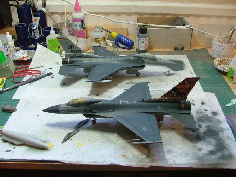 tigerf-16.jpg