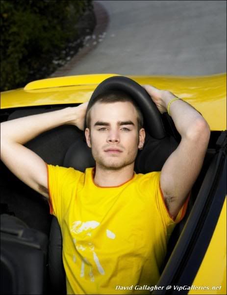 David Gallagher - Picture Colection