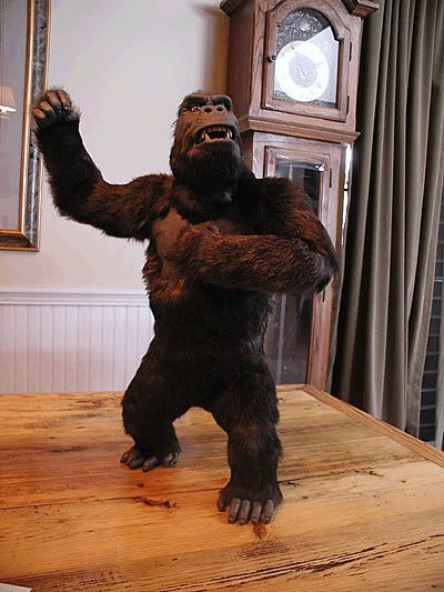 Kong_02.jpg