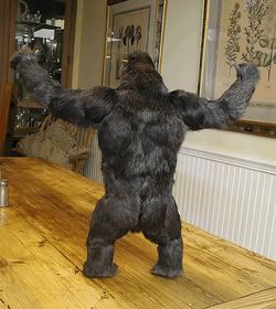 Kong_03.jpg