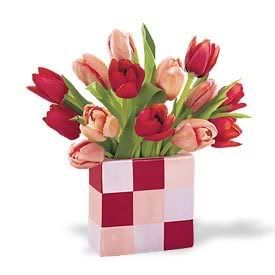 Valentine\'s Day tulips Pictures, Images and Photos