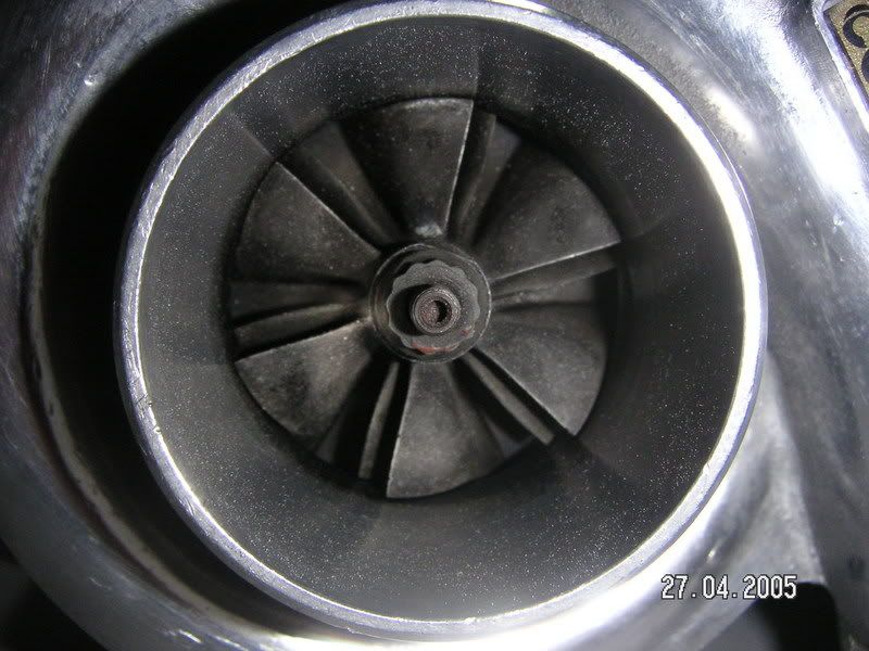 PICT2467.jpg
