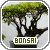 bonsai.gif picture by Sof_athena