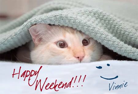 happy weekend cat Pictures, Images and Photos