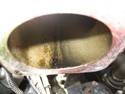 IMG_2585.jpg