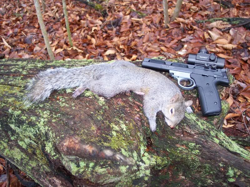 handgun_squirrel.jpg