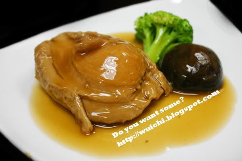 abalone,seafood