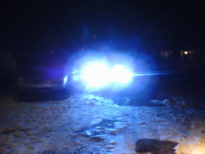 HID's and euro lights? VW Vortex Volkswagen Forum