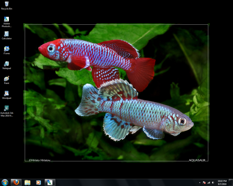 desktop-2.png