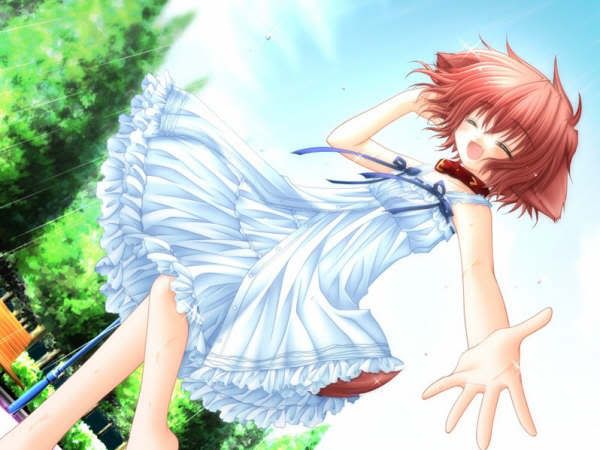 Photo Sharing and Video Hosting at Photobucket