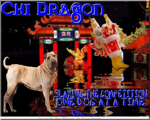 Chi Dragon Kiss of Death
