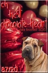 HCSP Chocolate Heart