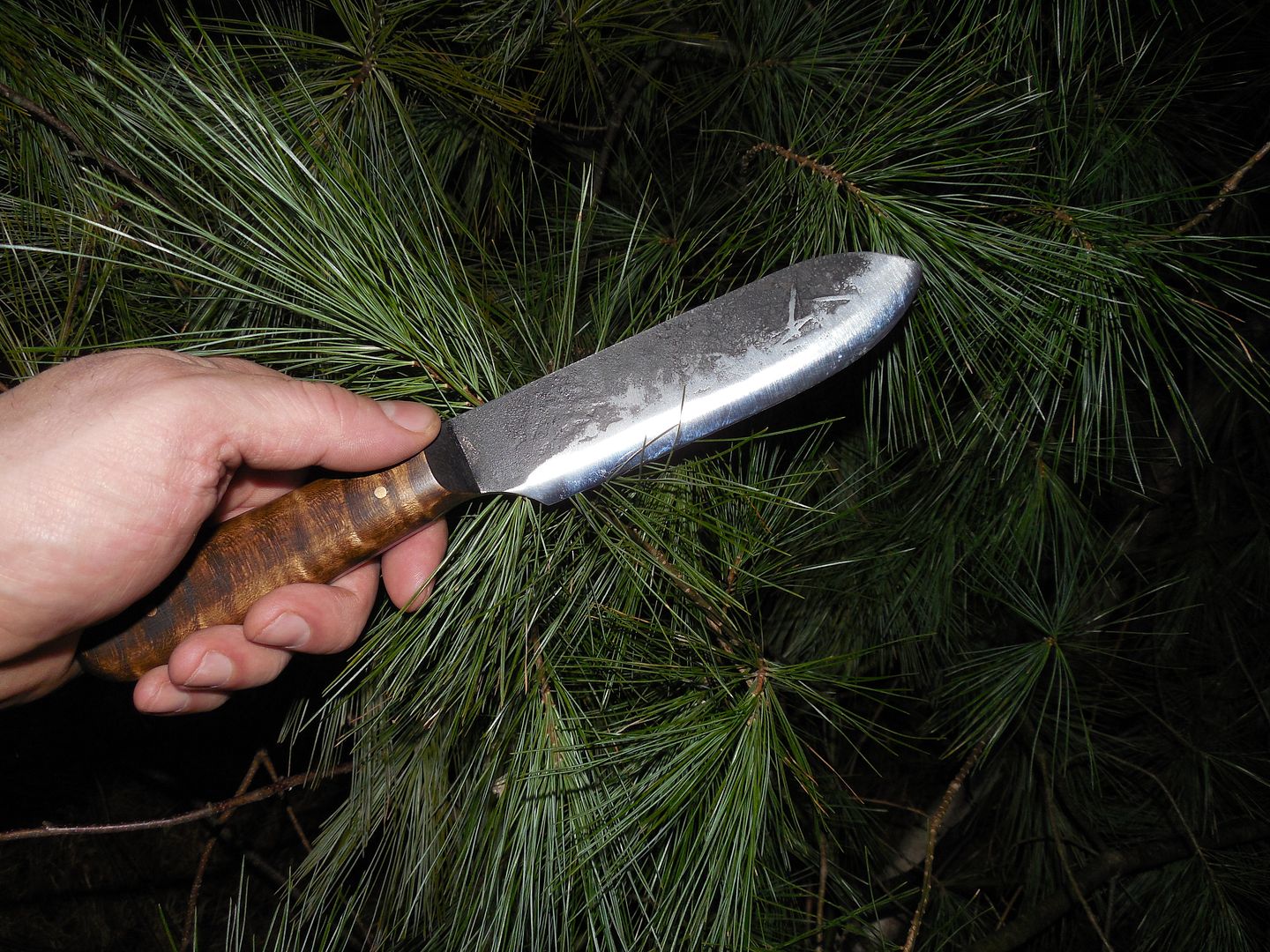 Protection knife against wild animals. Page 20