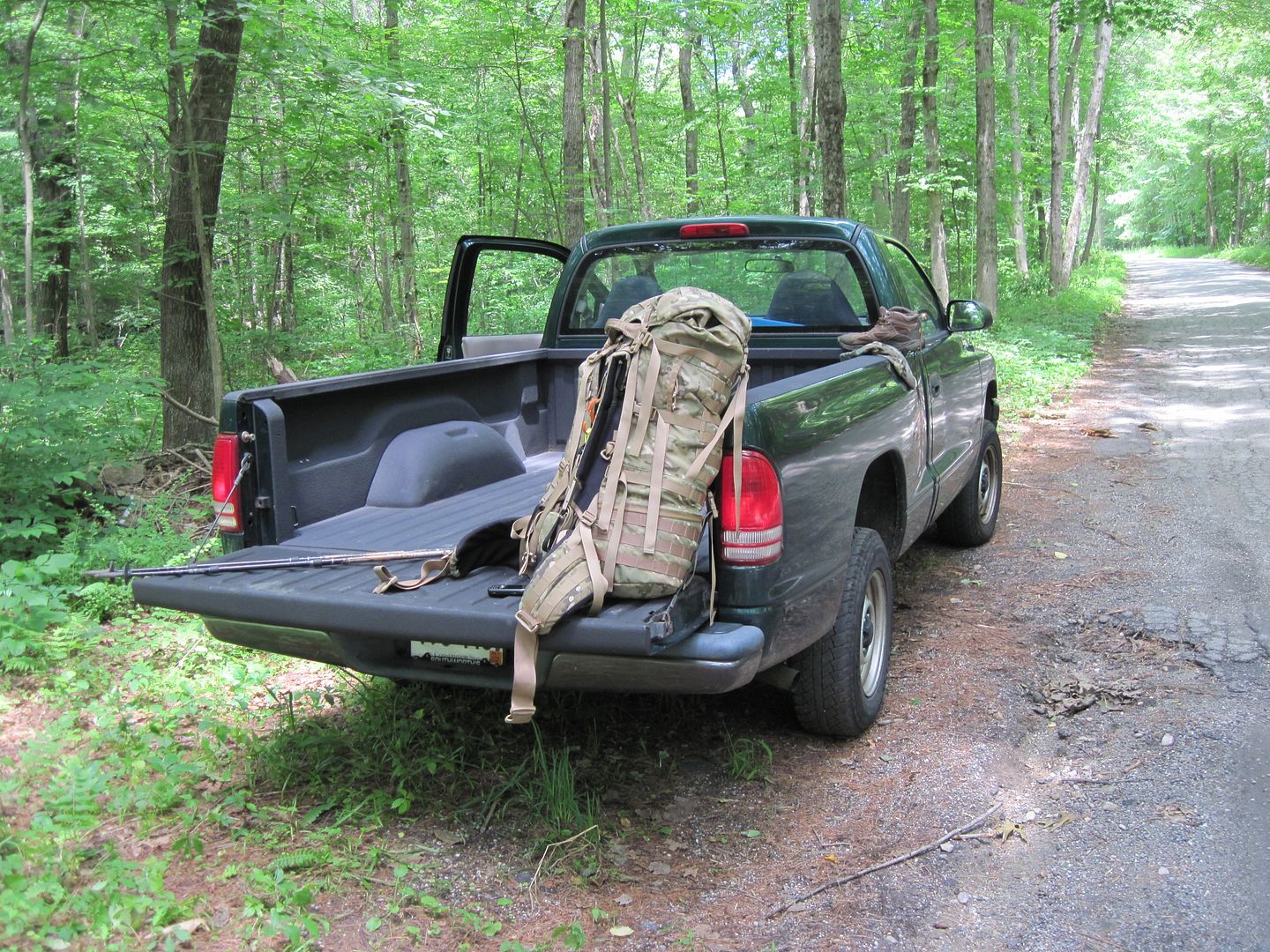 Rattlesnake den wild edibles hike with rattlesnake photos/video