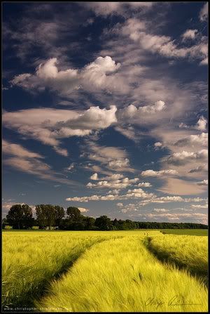 blue skies Pictures, Images and Photos