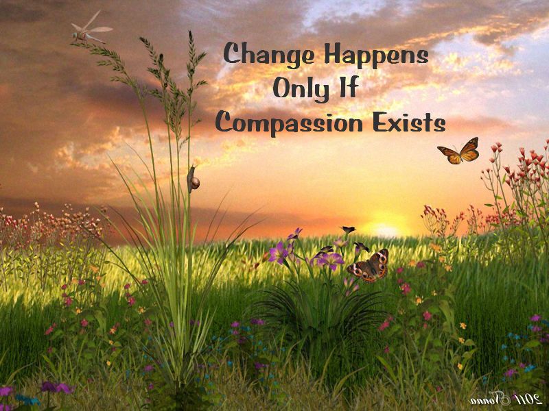 compassion Pictures, Images and Photos