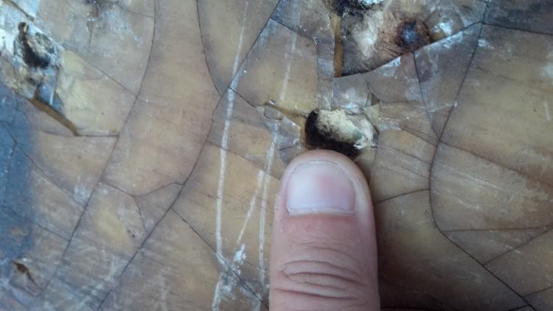 2013-02-05_16-39-53_707_zpsbf5ed007.jpg