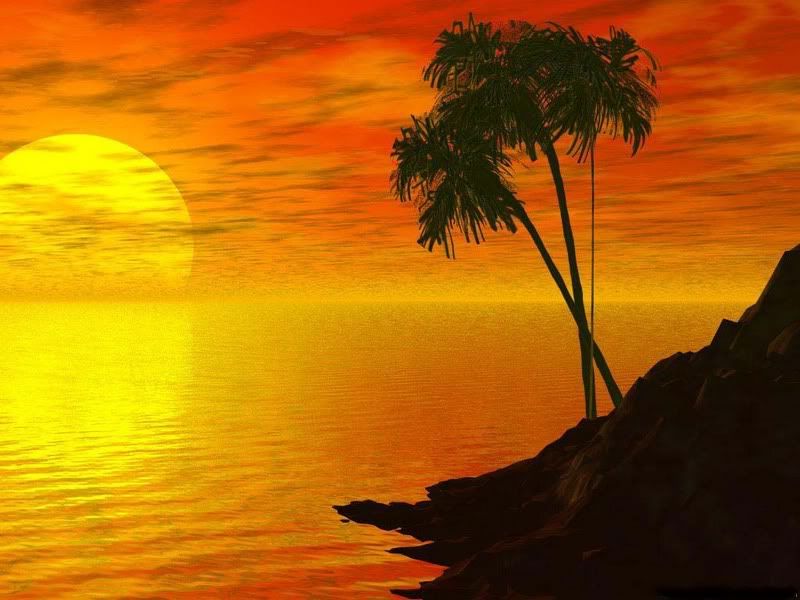 sunset7.jpg