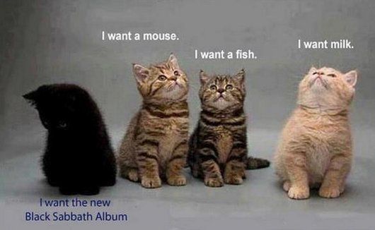 Black Sabbath cat photo 3-23-12-hilarious-caturday-funny-cat-photos1_zps0893a2e4.jpg