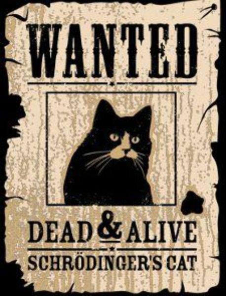 schrodinger's cat wanted poster photo scrrodingers cat wanted poster_zps4szv3hya.jpg