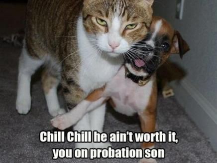 you on probation, son photo youonprobationson_zps00f5cdea.jpg