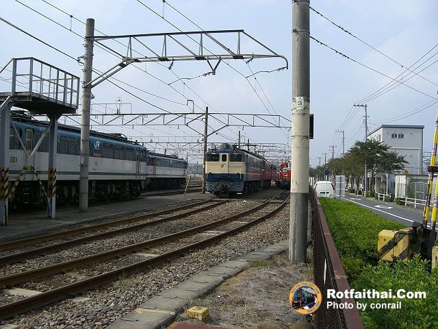 Click on the image for full size