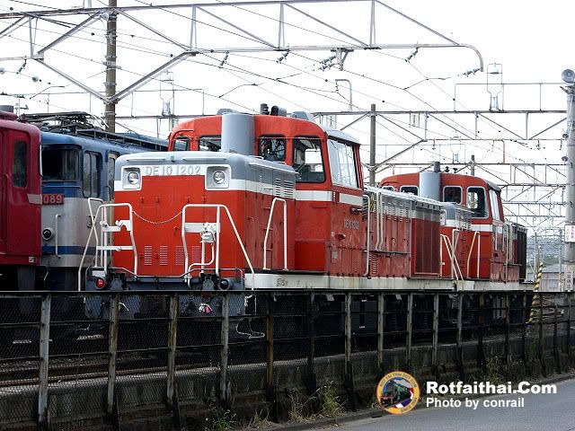 Click on the image for full size