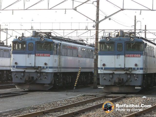 Click on the image for full size