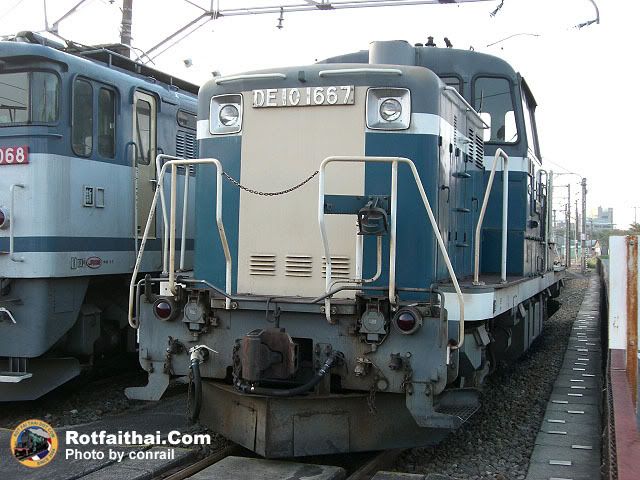 Click on the image for full size