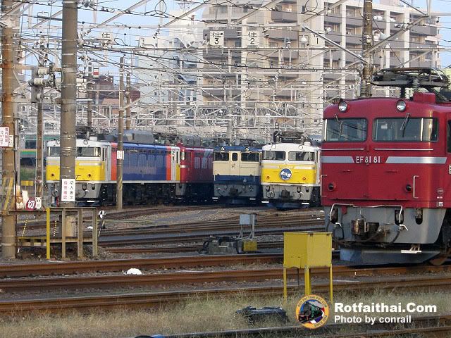 Click on the image for full size