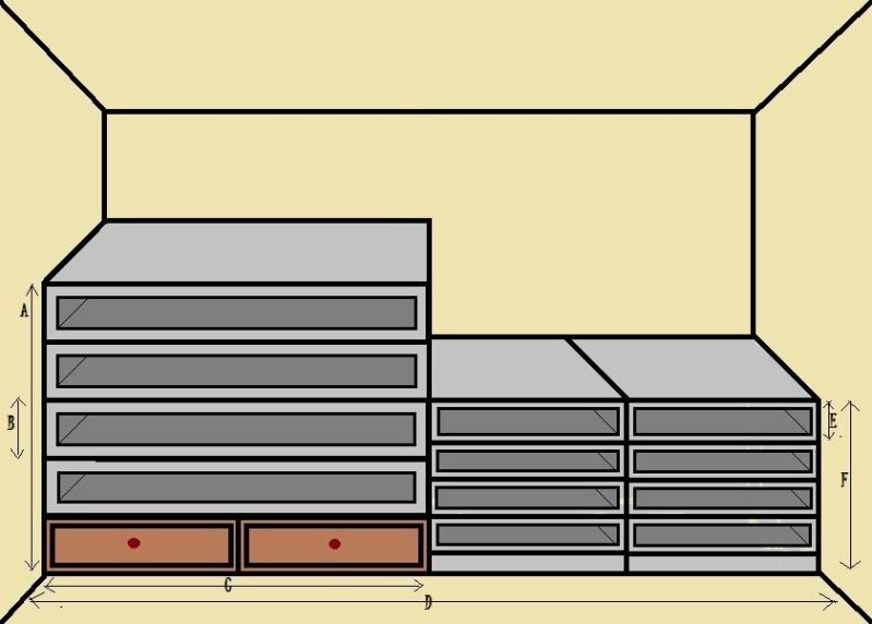 reptileroom2.jpg