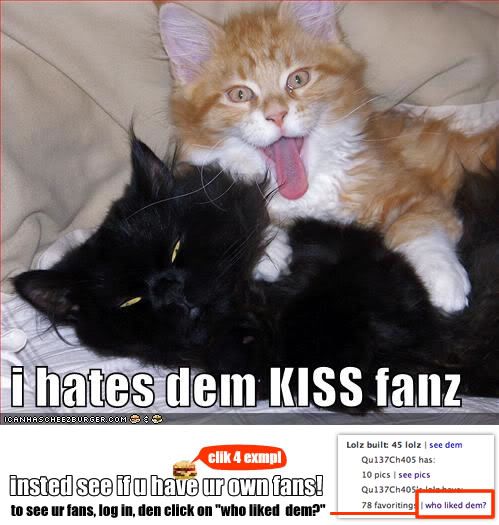 Kiss fan Cat Pictures, Images and Photos